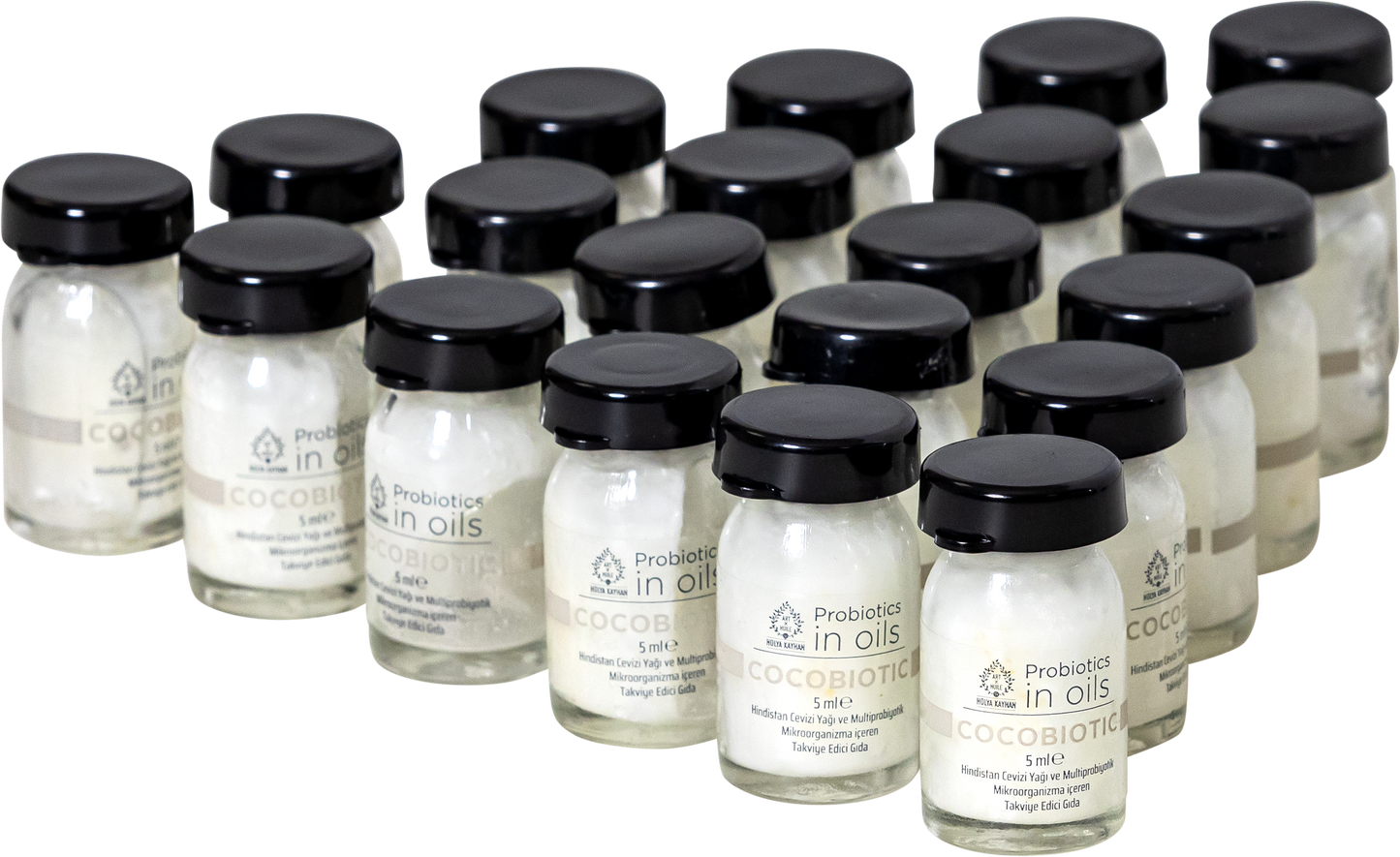 Cocobiotic Probiotic Oil 105 ml