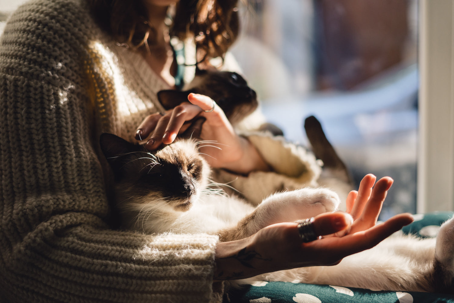 Pet Care